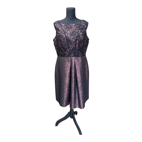 Lovely by Adrianna Papell" dress, Elegant Black and Pink Lace Dress - Picture 1 of 5